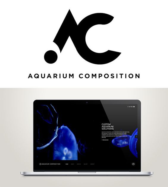 Fish Aquariums